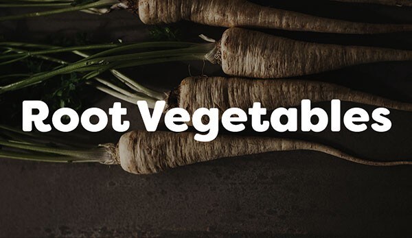 Root vegetables are the crisp and colourful underground parts of plants Root vegetables are the crisp and colourful underground parts of plants