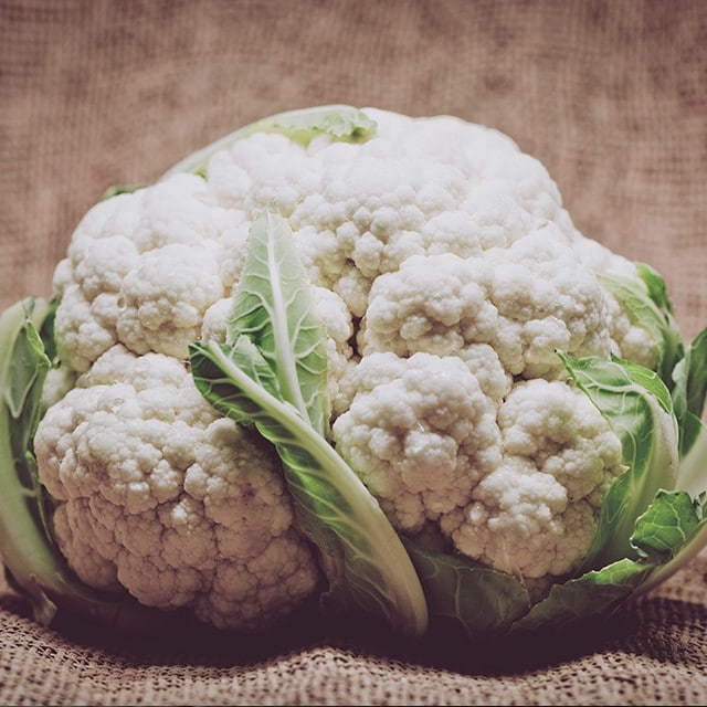 Immunity supporting ingredients to highlight on your menu