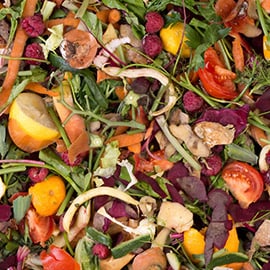2. Vegetable scraps 2. Vegetable scraps