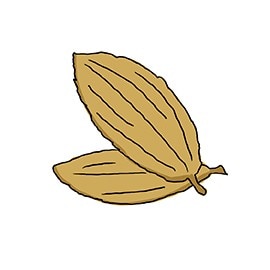 Bay leaf