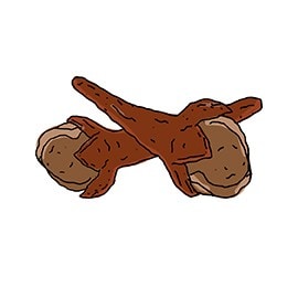 cloves