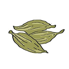 cardamom