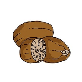 nutmeg
