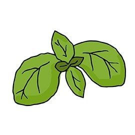 basil