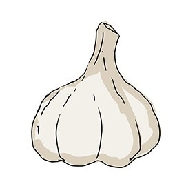 garlic