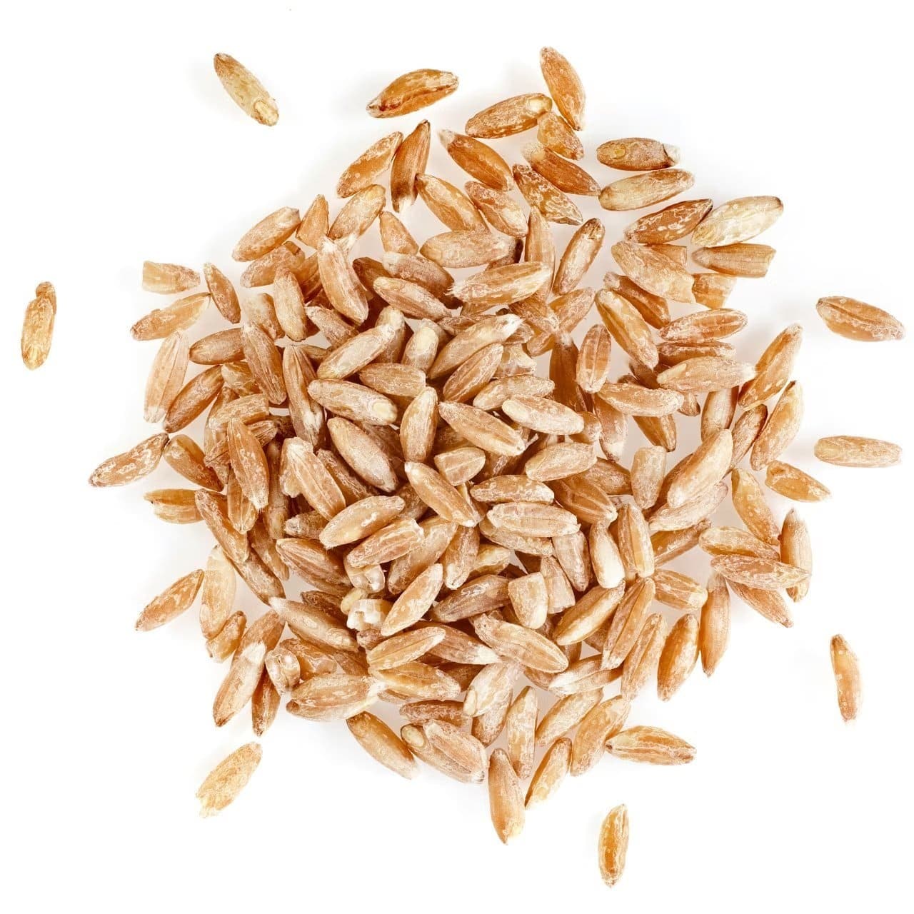 A pile of uncooked barley. A pile of uncooked barley.