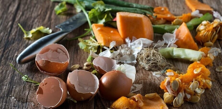 Make Your Food Business More Sustainable by Creating Kitchen Waste Compost 