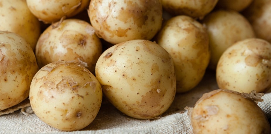 Mash It Up: Reinvent Mashed Potatoes Through a Variety of Dishes