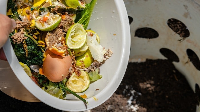 Woman placing plastic bottle in recycling bin at home.