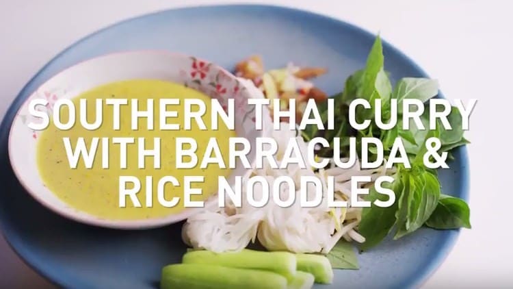southern thai curry with barracuda & rice noodles