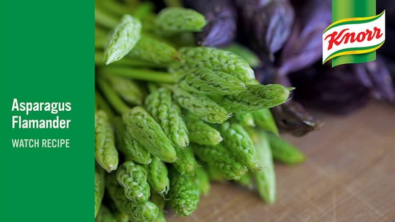 knorr asparagus flamande watch recipe