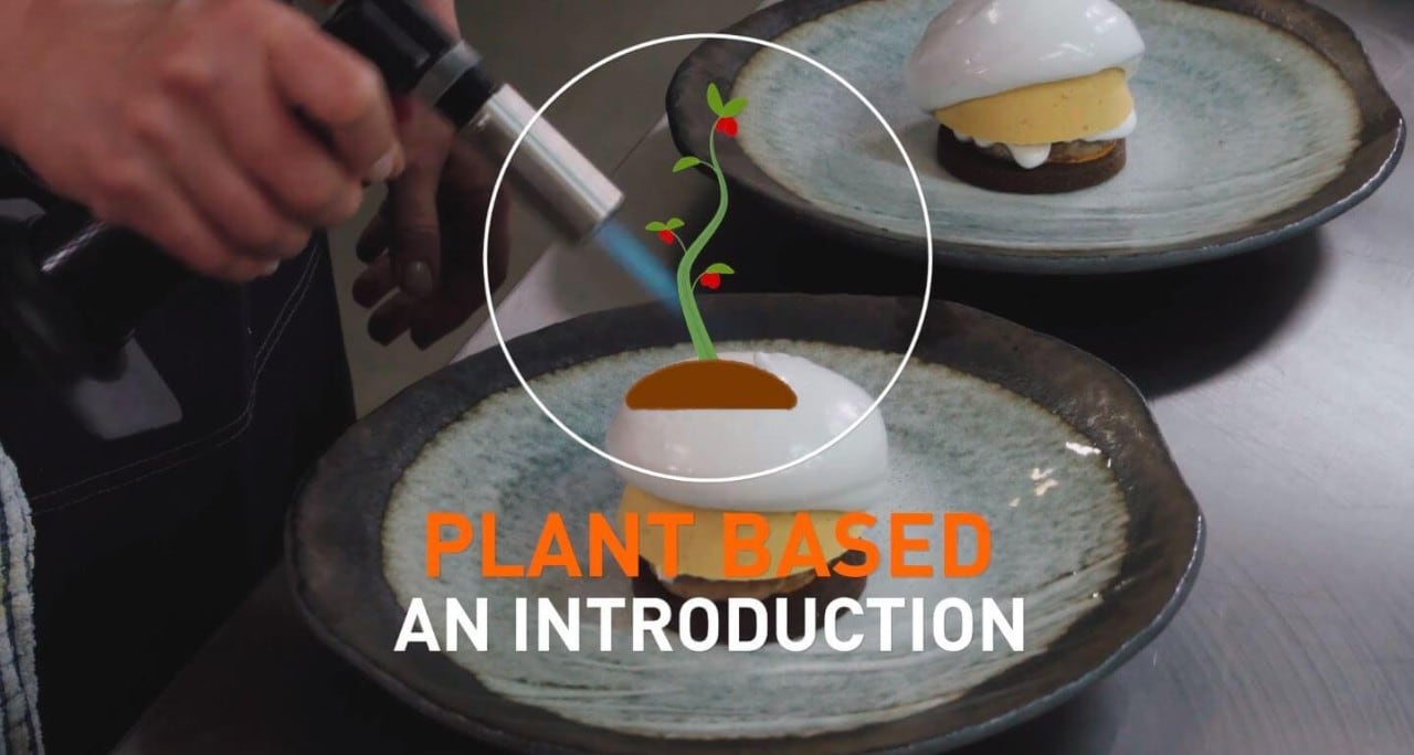 Introduction of Plant Based Cooking 