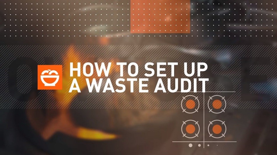 How yo set up a waste audit