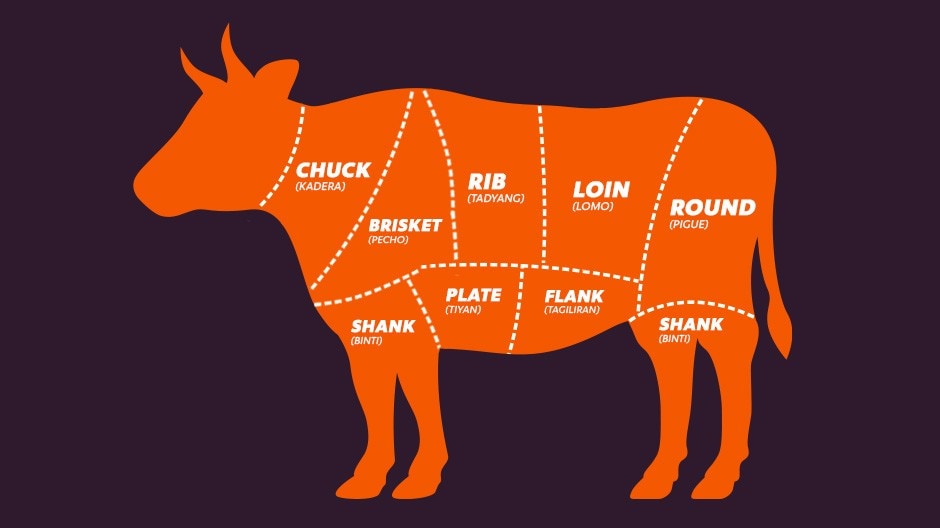 ILLUSTRATION OF BEEF WITH CUTS