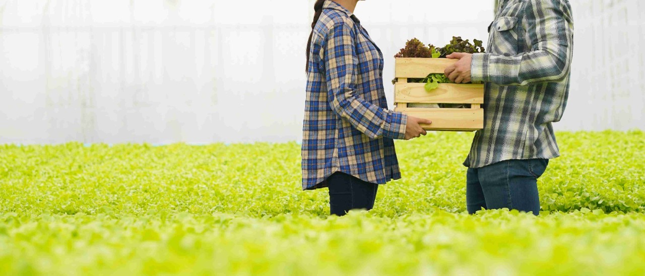 A man accepts a box full of fresh produce from a supplier A man accepts a box full of fresh produce from a supplier