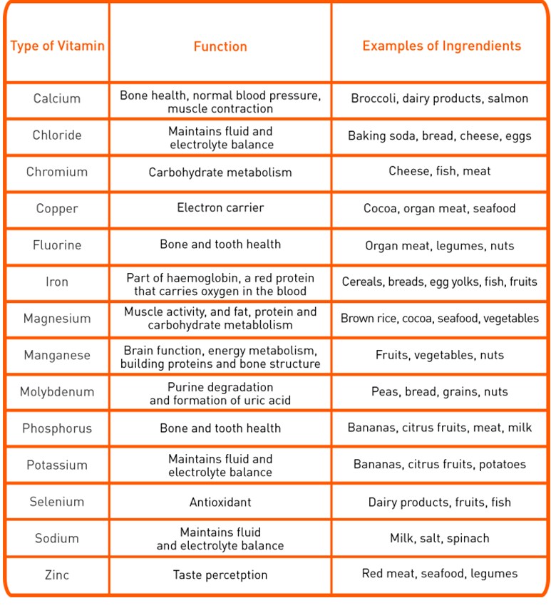 Types Of Nutrients
