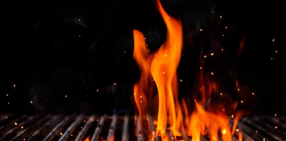 The Art of Grilling