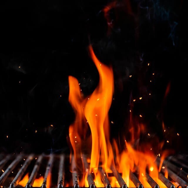 The Art of Grilling The Art of Grilling