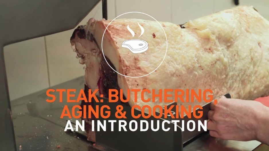 steak: butchering, aging & cooking an introduction