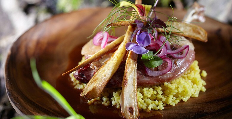 duck dish plated duck dish plated