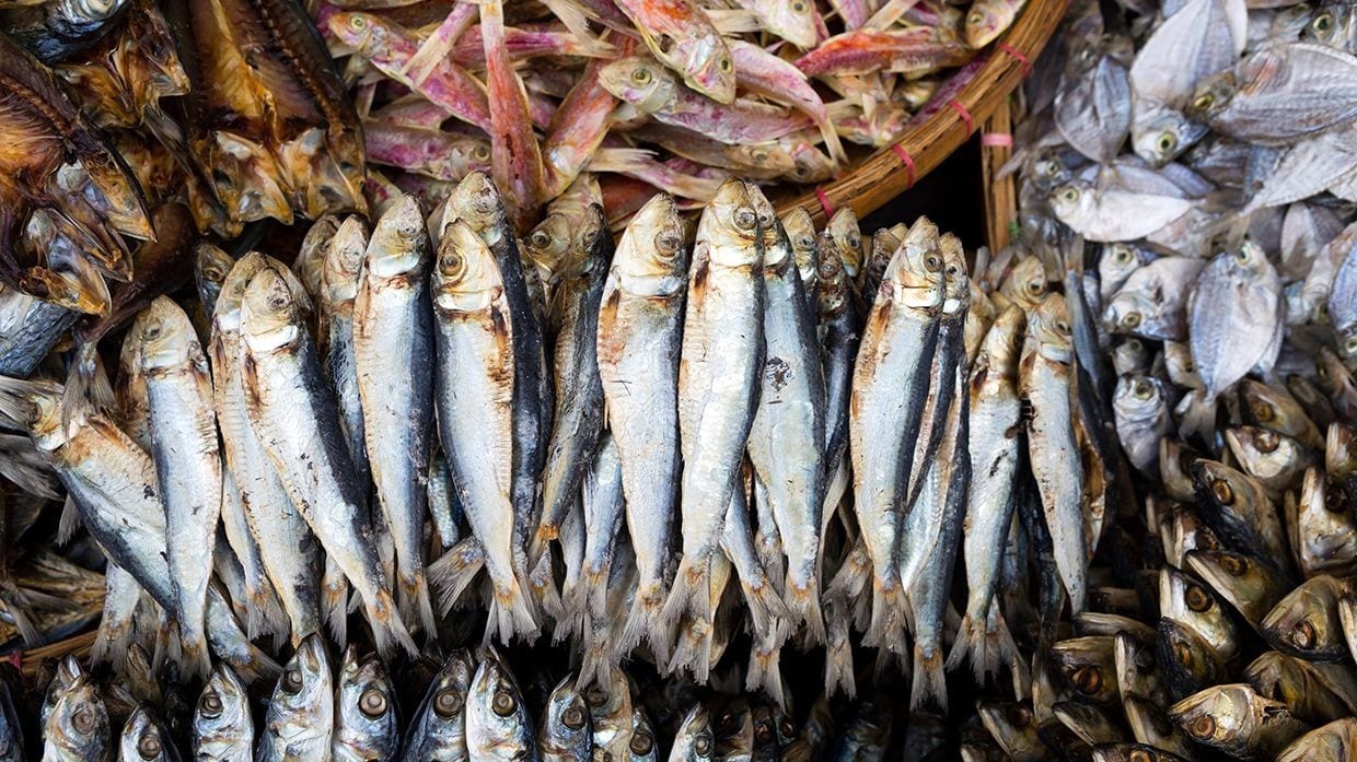 Crates of danggit and other dried fish in a Cebu market. Crates of danggit and other dried fish in a Cebu market.