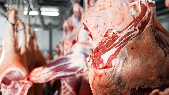 Cuts of raw beef hanging in a slaughterhouse.